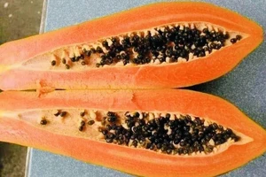 Tiêu thụ 10 loại thực phẩm này có thể giúp giảm đầy hơi