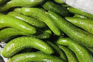 Một số thực phẩm chống viêm mùa hè cho người bị viêm khớp