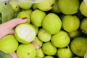 9 loại trái cây có thể giúp bạn đạt được mục tiêu về protein