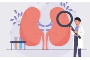 7 sai lầm trong lối sống khiến thận bị tổn thương