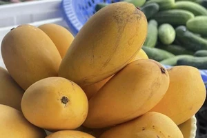 5 công thức chế biến xoài cho bữa ăn sáng lành mạnh