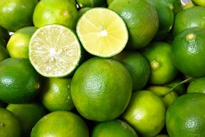 10 lợi ích sức khỏe của việc uống nước chanh khi thời tiết nắng nóng