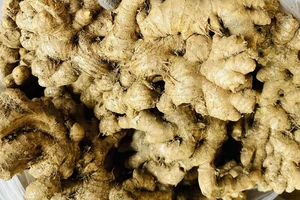 Điều gì xảy ra khi bạn ăn quá nhiều gừng?