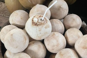 Uống nước dừa mỗi ngày, chuyện gì xảy ra với sức khỏe?