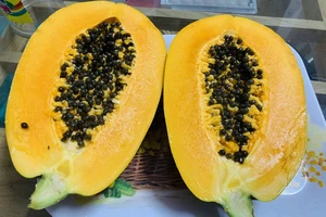 Mẹo giải độc gan hiệu quả