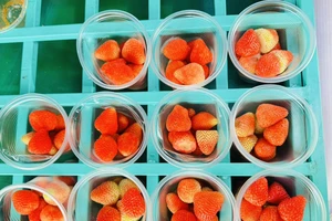 Một số loại thực phẩm có chỉ số đường huyết thấp tốt nhất để giảm cân