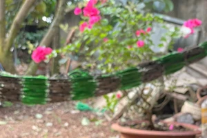 Tăng cường năng lượng nhanh chóng bằng 8 mẹo đơn giản và hiệu quả