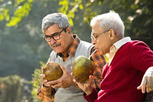 Điều gì xảy ra khi uống nước dừa mỗi ngày?