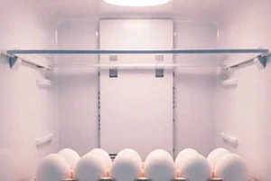 Trứng để được bao lâu trong tủ lạnh?