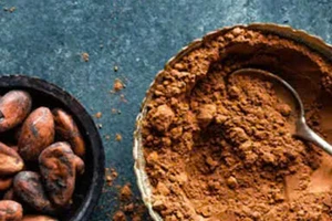 Uống ca cao mỗi ngày, điều bất ngờ xảy ra với trái tim và trí não của bạn?