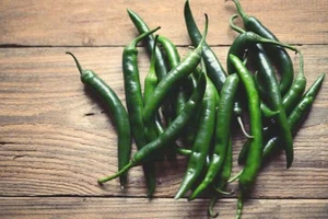 Bí mật sức khỏe từ trái ớt xanh cay nồng