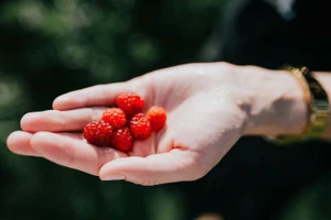 9 loại trái cây giàu chất xơ hơn cả táo rất tốt cho tiêu hóa