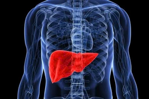 Giúp gan khỏe mạnh: 7 cách kết hợp thực phẩm hiệu quả, dễ tìm