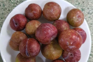 Thực phẩm màu tím giàu chất chống oxy hóa tốt cho sức khỏe