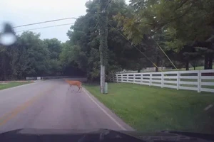 4 lý do bạn nên sở hữu ngay một chiếc camera hành trình