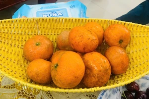 Có nên uống nước cam mỗi ngày?