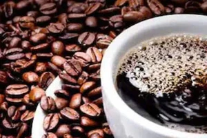 Quy tắc 80/20 mà mọi tín đồ uống cà phê phải nắm rõ