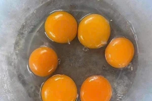 Bảo quản trứng đúng cách: Câu trả lời cuối cùng