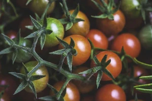 Top 10 thực phẩm giảm viêm, giảm đau khớp hiệu quả nhất