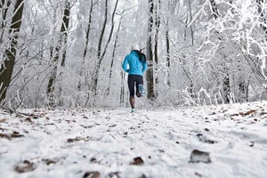 Protein thực vật giúp chống viêm, phục hồi cơ bắp tối ưu trong mùa lạnh