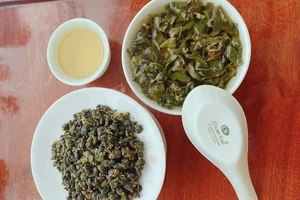 Uống trà ô long đúng cách giúp đốt cháy mỡ thừa và bảo vệ sức khỏe