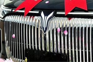 Khoảng 50 hãng xe điện Trung Quốc có thể phải đóng cửa vì thua lỗ