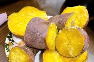 Những loại thực phẩm tốt cho mắt giúp ngăn ngừa suy giảm thị lực và khô mắt