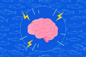 Ăn cá giúp cải thiện trí nhớ và những lưu ý quan trọng cần biết