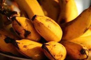 5 cách bảo quản chuối tươi lâu đơn giản nhất vào mùa hè