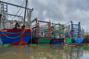 Hải Phòng: Sẵn sàng thực hiện các phương án phòng, tránh bão số 3