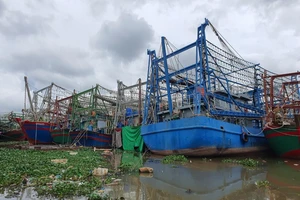 Hải Phòng, Quảng Ninh lên phương án phòng, tránh bão số 3 