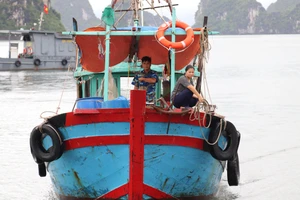 Biên phòng Quảng Ninh bố trí 220 cán bộ, chiến sĩ ứng phó bão số 3