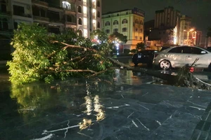 Bão số 3 gây mưa lớn, ngập nhiều nơi ở tỉnh Quảng Ninh