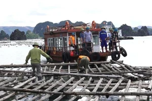 Tạm đình chỉ 4 cán bộ liên quan vụ nuôi thủy sản trái phép ở vịnh Bái Tử Long