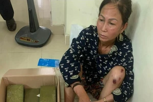 Hải Phòng: Phá đường dây ma túy xuyên quốc gia với số lượng lớn