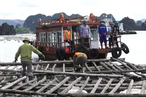 Quảng Ninh: Khai trừ ra khỏi Đảng 4 cán bộ nhận hối lộ