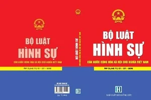 Chỉ sửa 93 điều trong Bộ luật Hình sự 2015