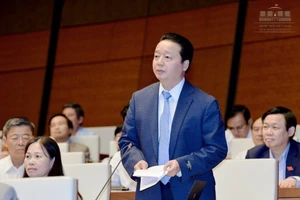 Bộ TN&MT chịu trách nhiệm hoàn toàn về Formosa