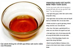 Tiếp tục kiểm tra sai phạm của Vinastas