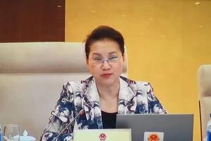 'Chính phủ đã thống nhất chưa? Bao quát hết chưa?'