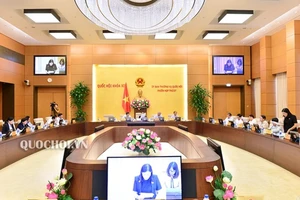 Vẫn còn doanh nghiệp sân sau đấu thầu dự án, thâu tóm đất công