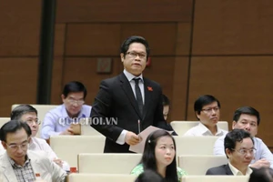 Chuyên gia dự báo sai vì 'trâu bò đánh nhau ruồi muỗi chết'