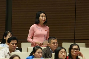 Đại biểu đề nghị làm rõ 'chính sách hình sự đặc biệt'