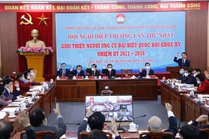 4 người ngoài Đảng, 16 GS, PGS ứng cử ĐBQH ở Trung ương