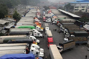 Khẩn trương đàm phán thống nhất với Trung Quốc giảm tỷ lệ kiểm dịch