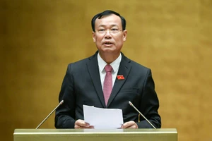 Đấu giá biển số ô tô: Không có căn cứ xác định biển số có số đuôi 49 hay 53 là biển số xấu