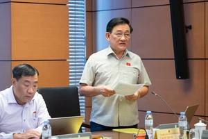 Từ vụ ông Vương Tấn Việt, ĐB đề nghị kiểm tra việc cấp bằng Tiến sĩ