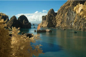 Văn bản mới nhận từ ngày 1 đến 5-1 (phần 2)