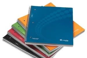 Chấn chỉnh việc lạm dụng sổ sách trong nhà trường