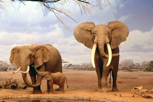 Văn bản mới nhận đến ngày 22-2 (phần 2)